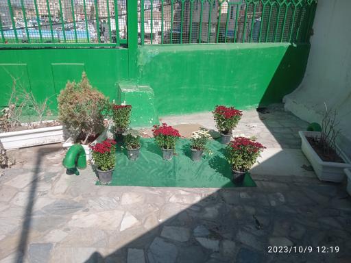 عکس امامزاده سید فخر الدین