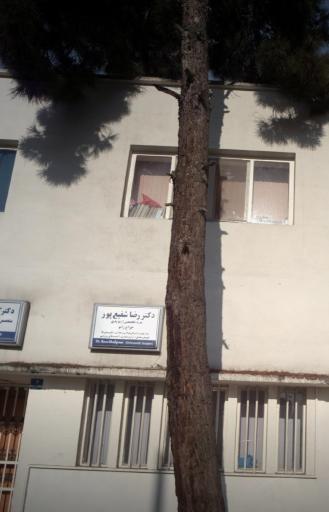 عکس مطب ارتوپدی دکتر شفیع پور 