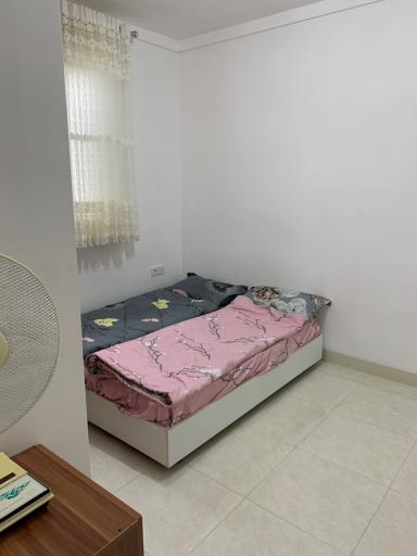 عکس اقامتگاه نورا 