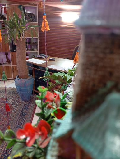 سفره خانه علی خان