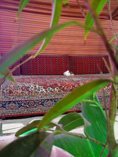 عکس سفره خانه علی خان