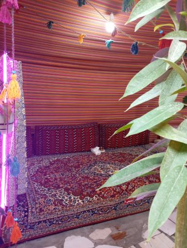 عکس سفره خانه علی خان