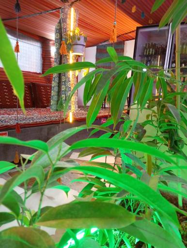 عکس سفره خانه علی خان