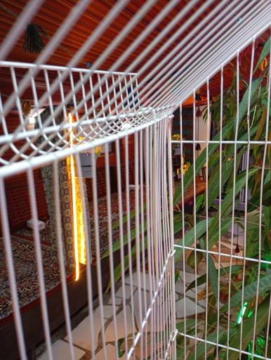 عکس سفره خانه علی خان