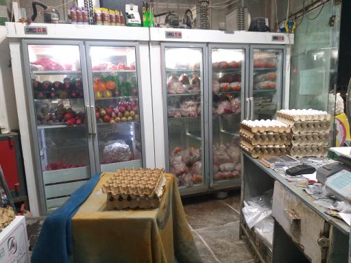 عکس پروتئینی سید