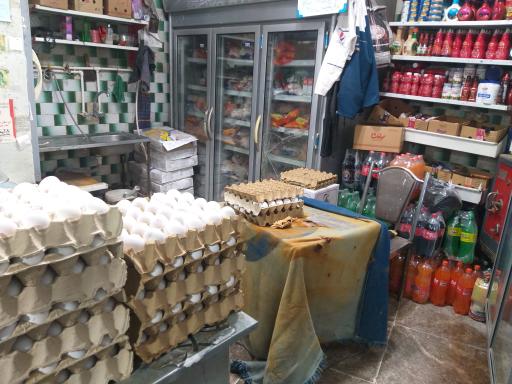 عکس پروتئینی سید