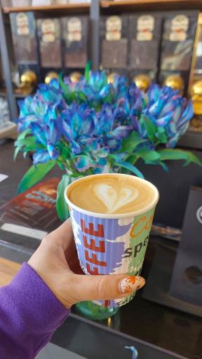 عکس قهوه سیسیل