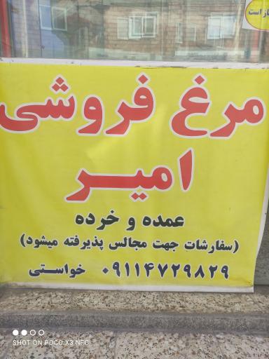 عکس مرغ فروشی امیر