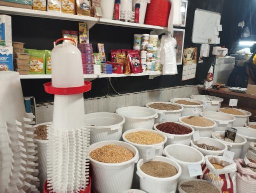 عکس دفتر مجموعه بهزاد فارم