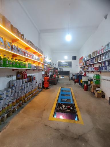 عکس اتوسرویس رضا