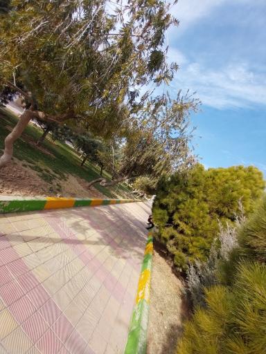 عکس پارک شادی