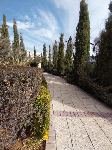 عکس پارک شادی