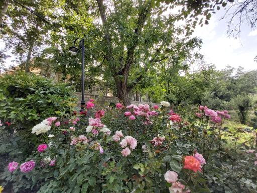 عکس بوستان جهان دیدگان کرج جهانشهر