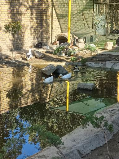 عکس بوستان جهان دیدگان کرج جهانشهر