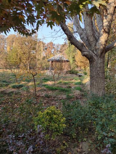 عکس بوستان جهان دیدگان کرج جهانشهر