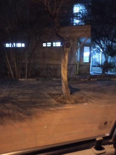عکس سرویس بهداشتی بوستان دادی