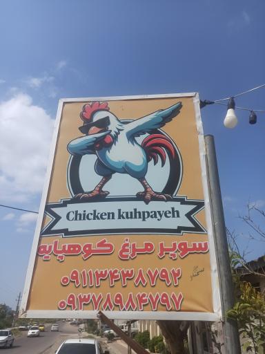 عکس مرغ کوهپایه