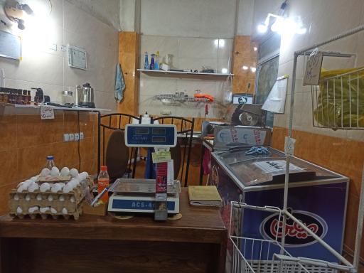 عکس مرغ کوهپایه
