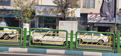 عکس کباب ساطوری اصل بناب