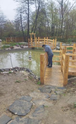 عکس باغ ژاپنی 