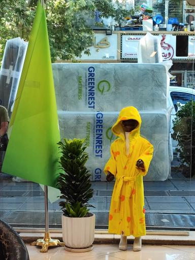 تشک گرین رست (شعبه ستارخان)