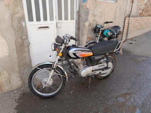 عکس نمایشگاه سیفی