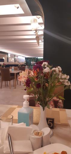 عکس هتل سفیر اصفهان