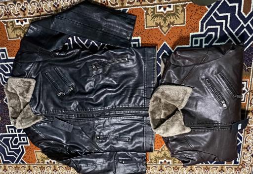 عکس فروشگاه دنیای پلنگی اهورا