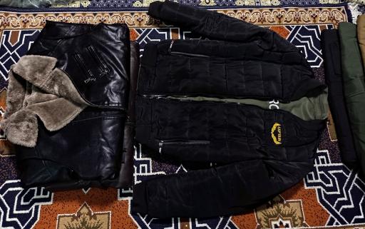 عکس فروشگاه دنیای پلنگی اهورا