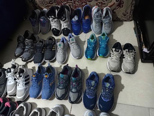 عکس فروشگاه دنیای پلنگی اهورا