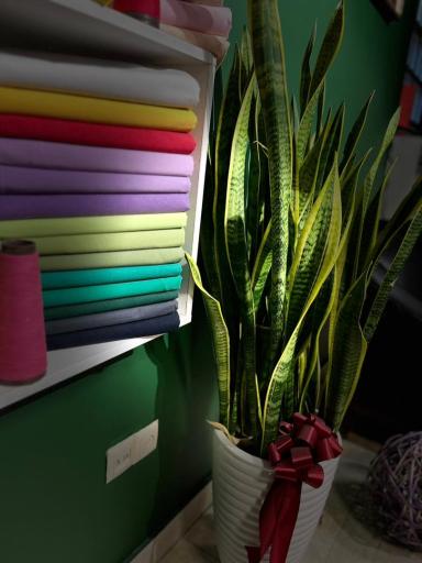 عکس دفتر مرکزی کارخانجات نساجی کامران