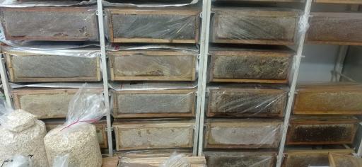 عکس لبنیاتی دلسا 