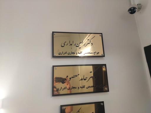 عکس دکتر رامین راهداری