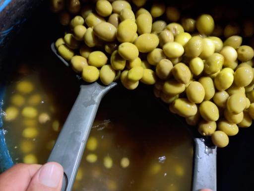 عکس زیتون باغ جناب حجره ۳۸