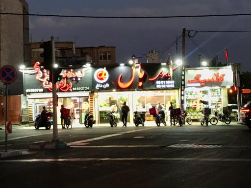 عکس کباب سرای بال