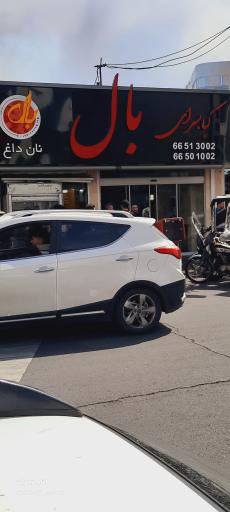 عکس کباب سرای بال