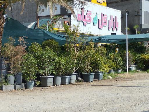 عکس بازار گل و گیاه فردوس