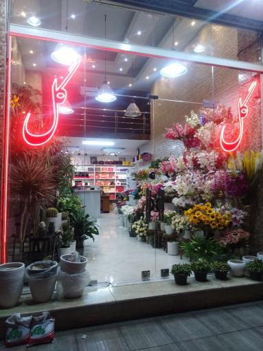 عکس گل مگنولیا