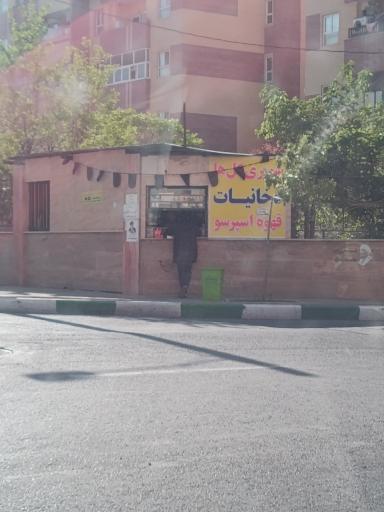 عکس سوپری گل ها