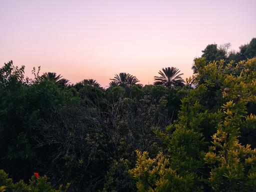 عکس خفر