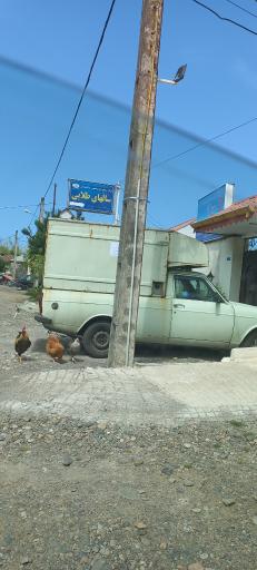 عکس سالهای طلایی