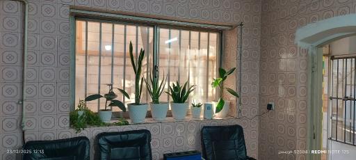 کافی نت بهار