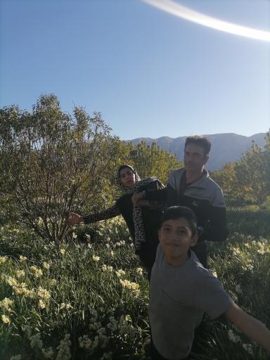 عکس خفر
