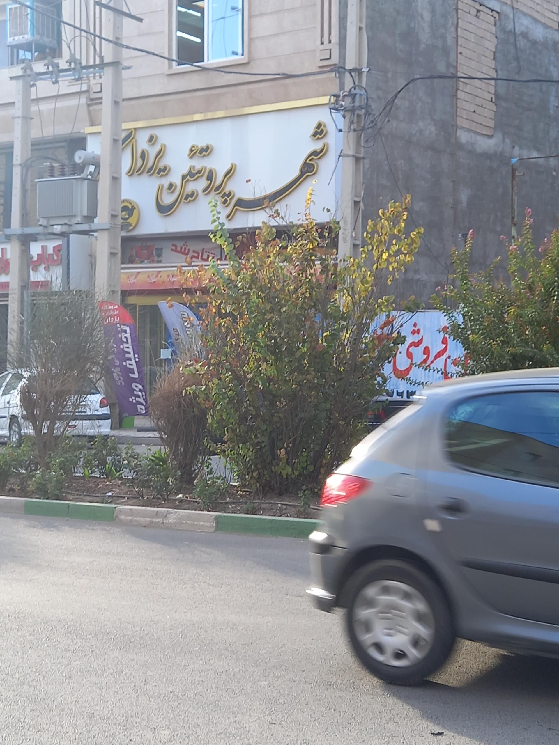 عکس شهر پروتئین یزدان