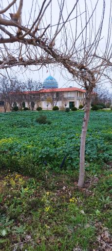 عکس مسجد پیامبر اعظم دانشگاه گنبد