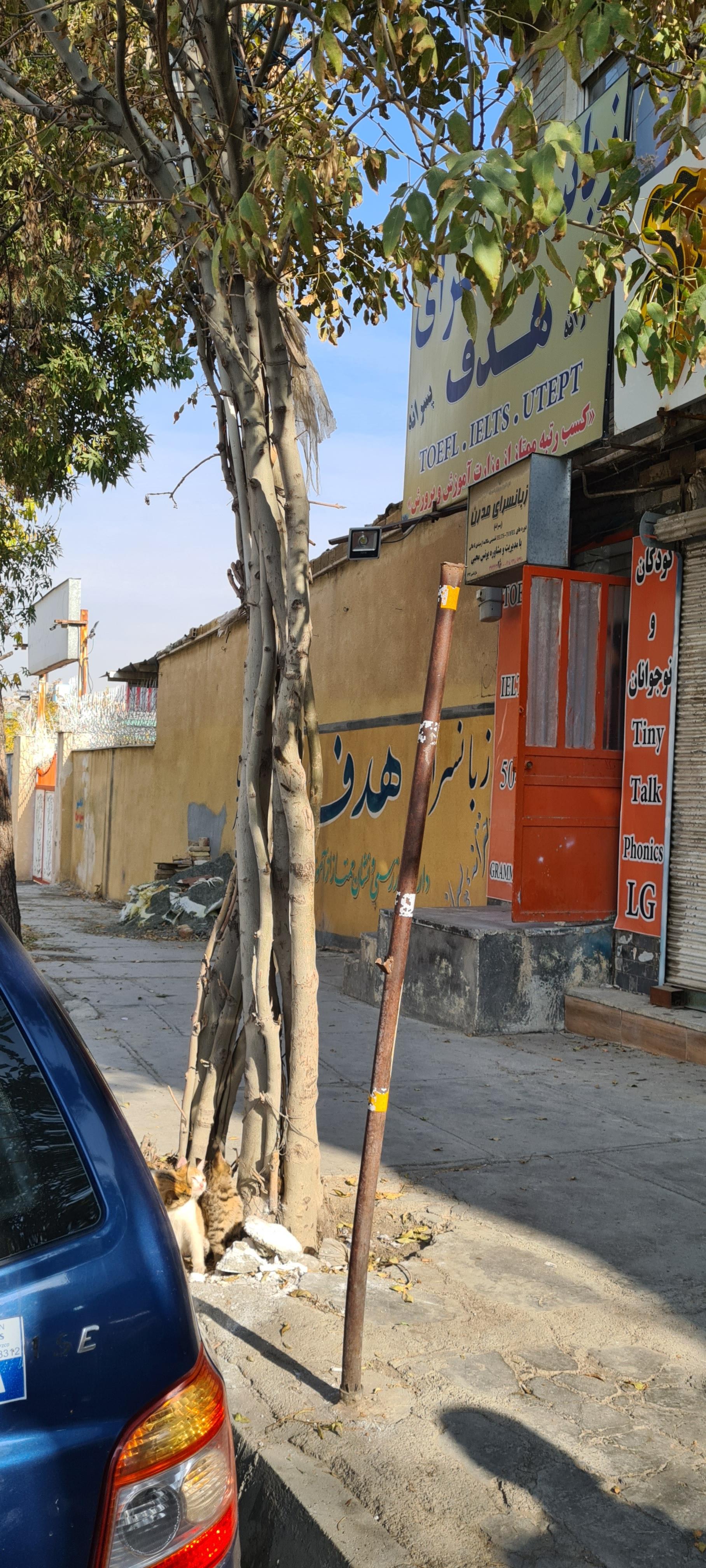 عکس زبانسرای هدف