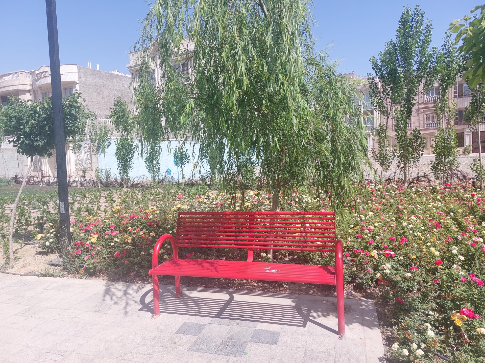 عکس بوستان شهید باکری 