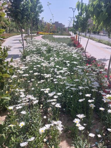 عکس بوستان شهید باکری 