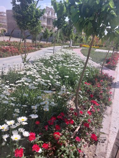 عکس بوستان شهید باکری 