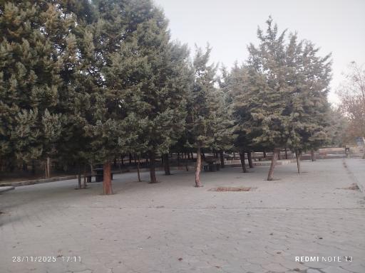 عکس پارک کوهسار